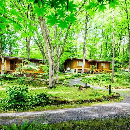 Hotel La Neige Hakuba Exterior photo